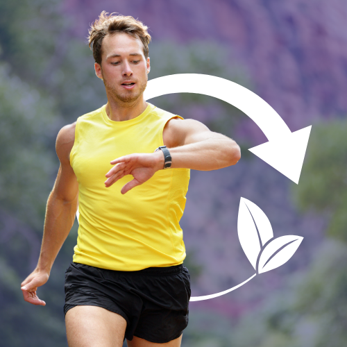 Smartfon – informacje o urządzeniu